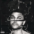 Beauty behind the madness Beauty behind the madness