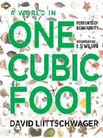 A world in one cubic foot