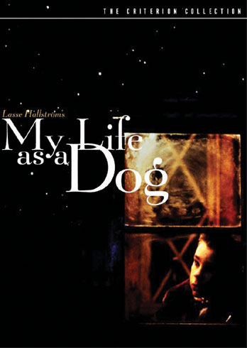 My Life As A Dog poster image linking to Criterion Collection eVideo details page