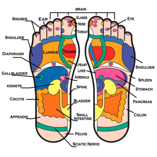 Footreflexology
