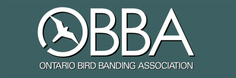 Ont.BirdBanding