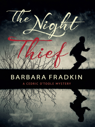 The Night Thief 