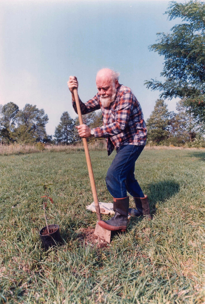 Digging to plant tree
