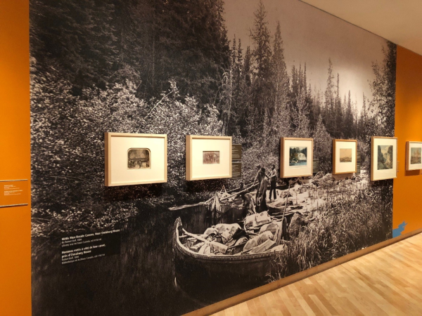 Pathways exhibit Pathways exhibit