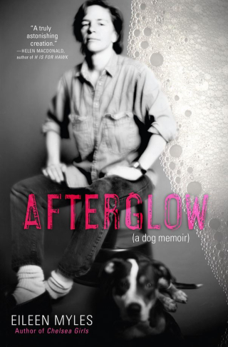 Afterglow--a Dog Memoir