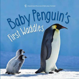 Baby Penguin's First Waddles Baby Penguin's First Waddles