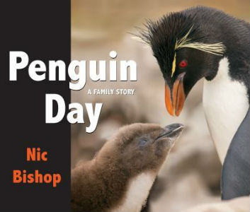 Penguin Day A Family Story Penguin Day A Family Story