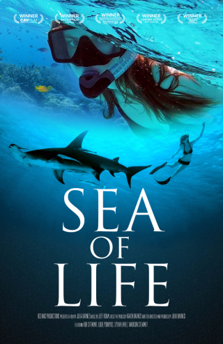 Sailfish and school of fishes from Sea of Life Documentary