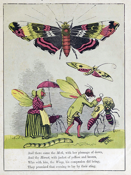 The Butterfly's Ball 1874