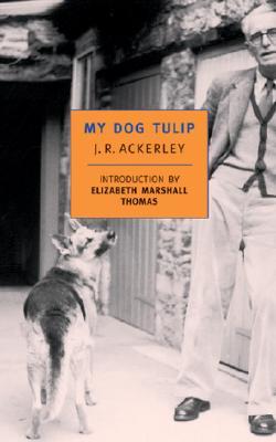 My Dog Tulip book by J.R Ackerley