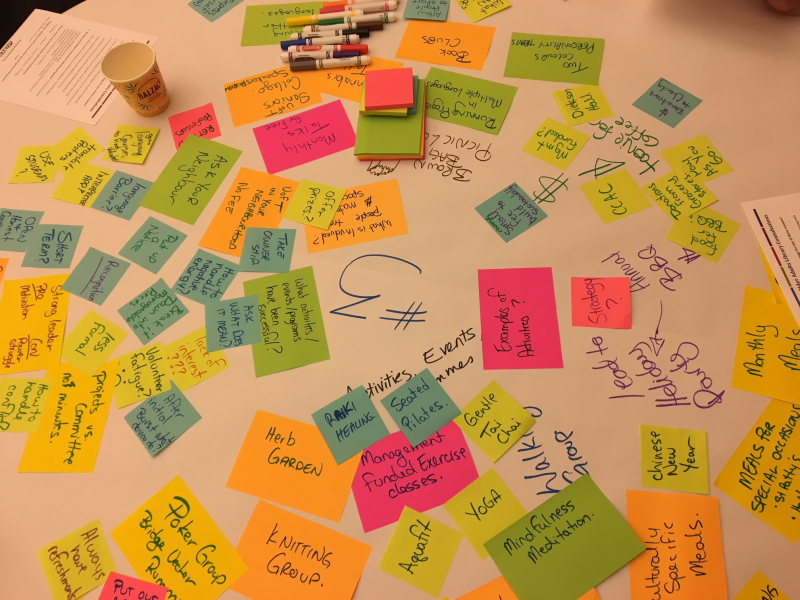 Some of the ideas generated at the Seniors Building Community Symposium