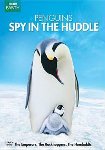 Penguins Spy in the Huddle Penguins Spy in the Huddle