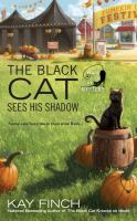 Black cat sees his shadow