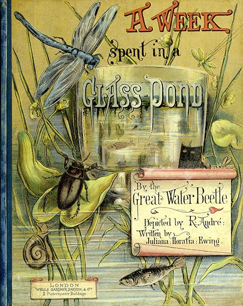 A Week Spent in a Glass Pond 1882