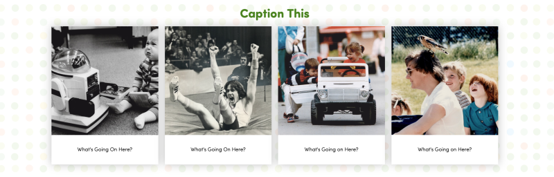 Caption This Caption This