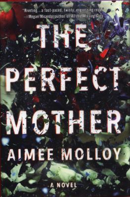 Perfect Mother Perfect Mother