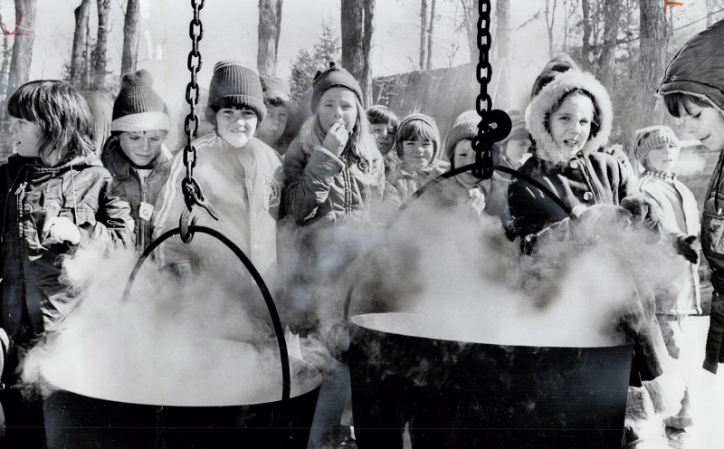 Bolton Public School children tastes the sweetness of spring on a farm near Stouffville, 1975
