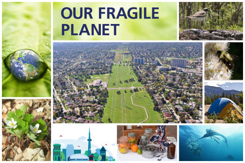Our Fragile Planet Spring 2019 programs collage