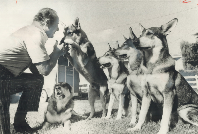 TV show  The Littlest Hobo dog stand-ins vacationing at Georgina by Lake Simcoe in 1975