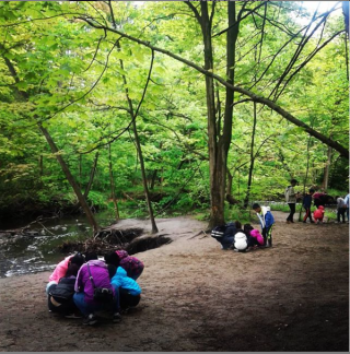 Grade 2 students working in groups outside.