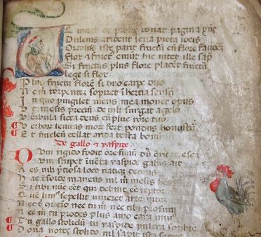 Aesopus moralisatus 1300