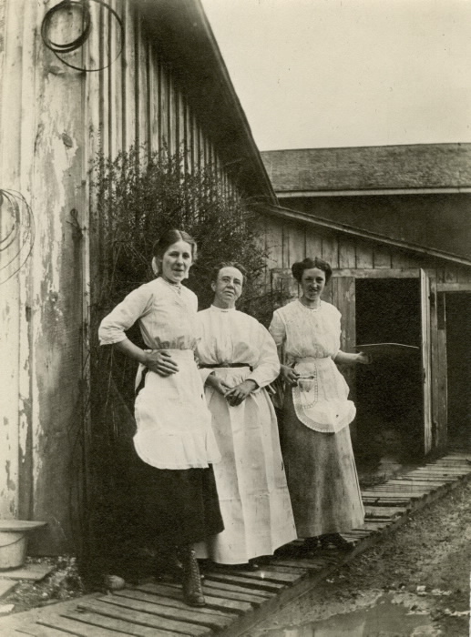 1900 Empringham Hotel (1890s-1913) Danforth Ave. s.w. corner Dawes Rd. waitresses & cook 1900 Empringham Hotel (1890s-1913) Danforth Ave. s.w. corner Dawes Rd. waitresses & cook