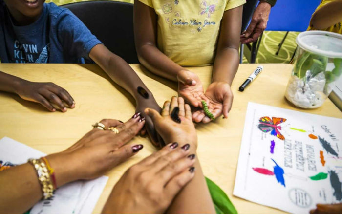 Children Holding Caterpillars Children Holding Caterpillars