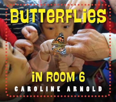 Butterflies in Room 6 Butterflies in Room 6