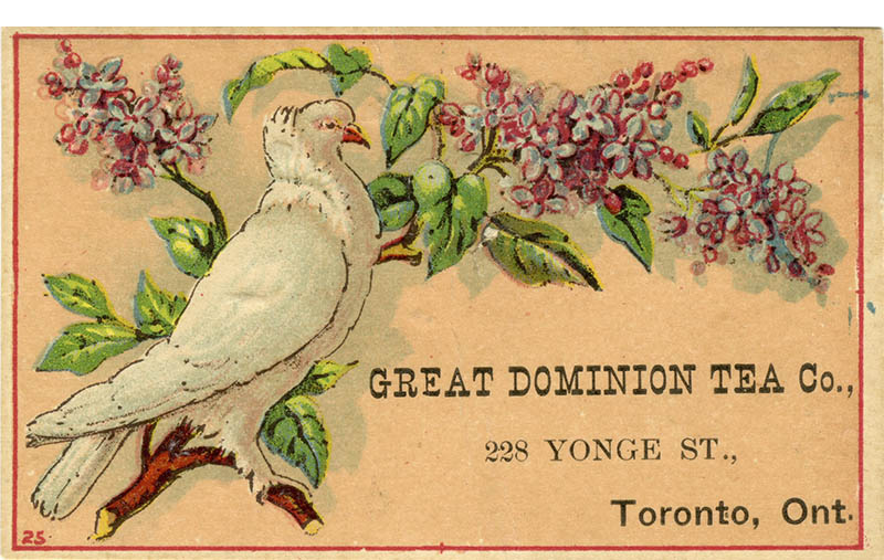 Postcard with bird on branch and text that reads Great Dominion Tea Co 228 Yonge Street Toronto Ontariojpg