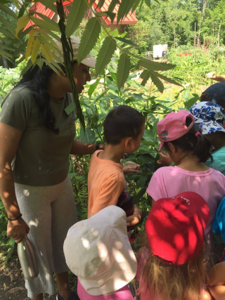 Broti and her students outside looking closely at plants.