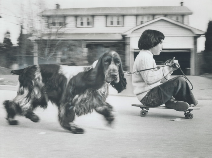 Boy sitting on skateboard holding leash of dog