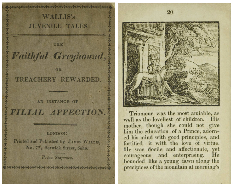 Book cover on left with title and publishing information and a page on right with text and a simple illustration of a boy and a dog