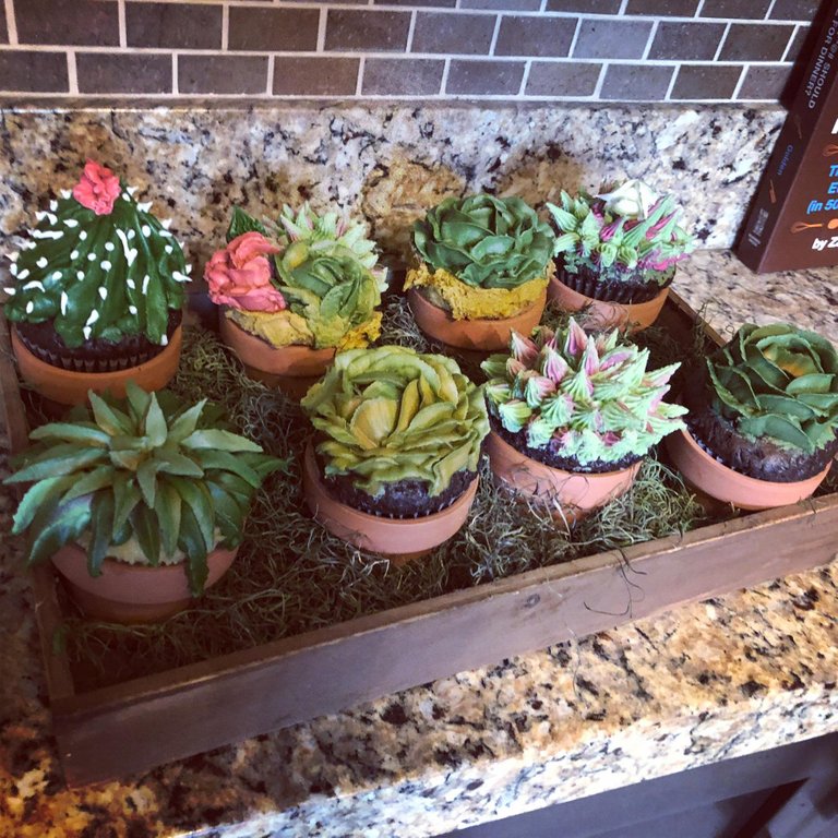 Cupcakes that look like succulents  from Reddit user Deconstructress