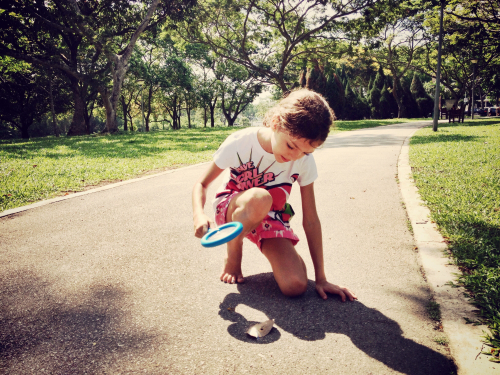 Child holding a magnifying glass over a leaf in the sun
