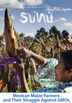 SUNÚ = Maize