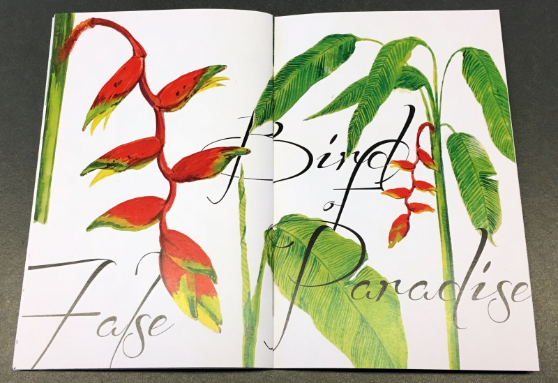 Birds of False Paradise