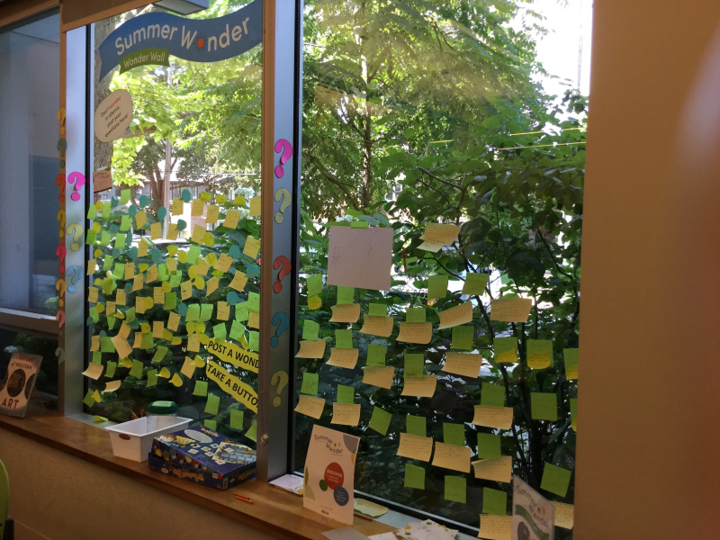 Summer Wonder Wall at Brentwood Branch