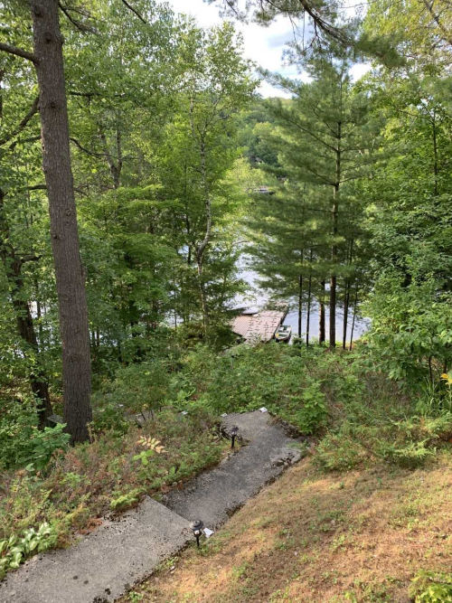 Cottage view down 69 stairs to dock and water 2019
