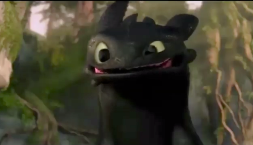 Toothless from How to Train Your Dragon. Property of DreamWorks Studios.