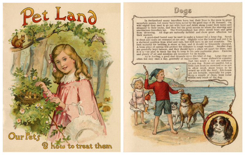 Book cover of an illustrated girl in nature and a different page of book titled Dogs with a large portio of text and illustration of children playing with dogs