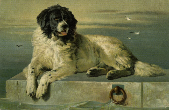Illustration of large dog on a pier