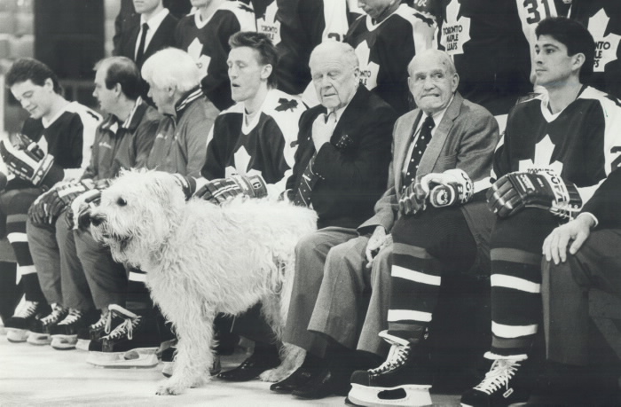 Maple Leafs hockey players sitting with a large dog