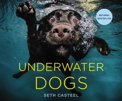 Underwater dogs Underwater dogs