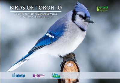 Birds of Toronto