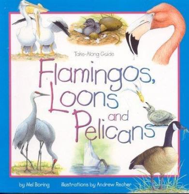Flamingos  Loons and Pelicans
