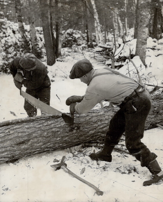 Photo of two men sawing a log at the Burwash correctional facility.