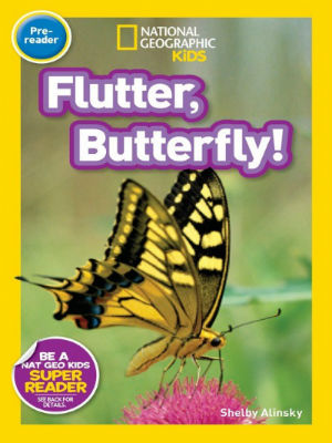 Flutter Butterfly! Flutter Butterfly!