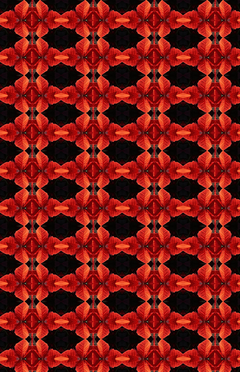 red and black Christmas themed pattern design 