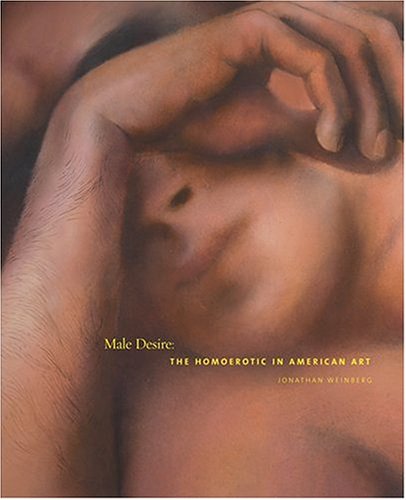 Male Desire The Homoerotic in American Art Male Desire The Homoerotic in American Art
