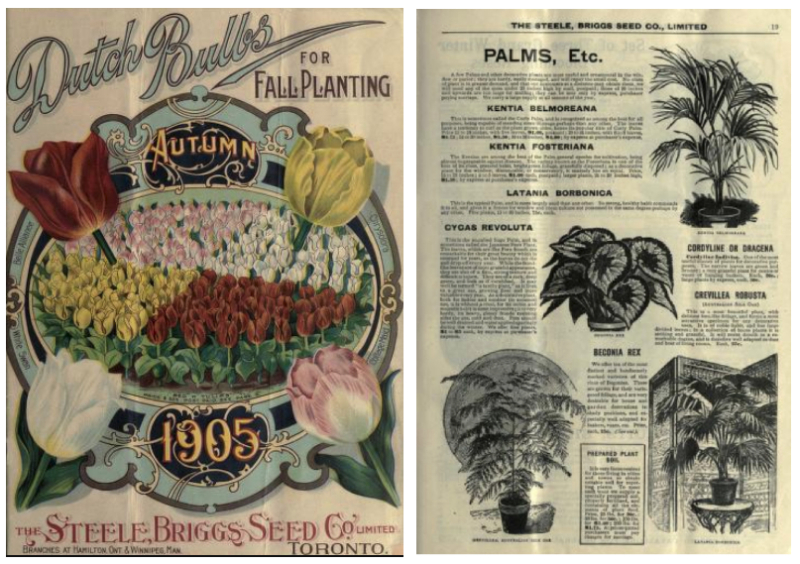 Two side by side images, one showing cover with garden illustrations and the other showing black and white illustrations of plants and items for sale Two side by side images, one showing cover with garden illustrations and the other showing black and white illustrations of plants and items for sale